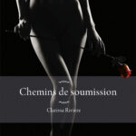 Enfer et damnation – Chap.12 La curée