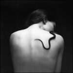 Chair d’Ombre, de Vera Mar