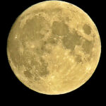 Writober2021, Jour 19