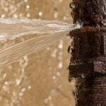 Writober2021, Jour 24