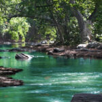 Matriarchie, de Flore Cherry