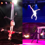 Promenade dans Amsterdam