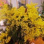 La Monarch Happy New Year