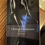 Houellebecq ou le cynisme