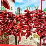 La Monarch, samedi 22 avril