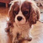 La Master Squat X Kink me 5 avril 2025