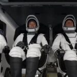 Chems, de Johann Zarca