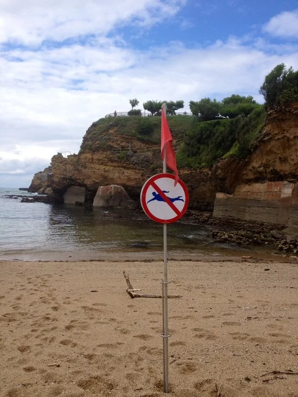 20 août