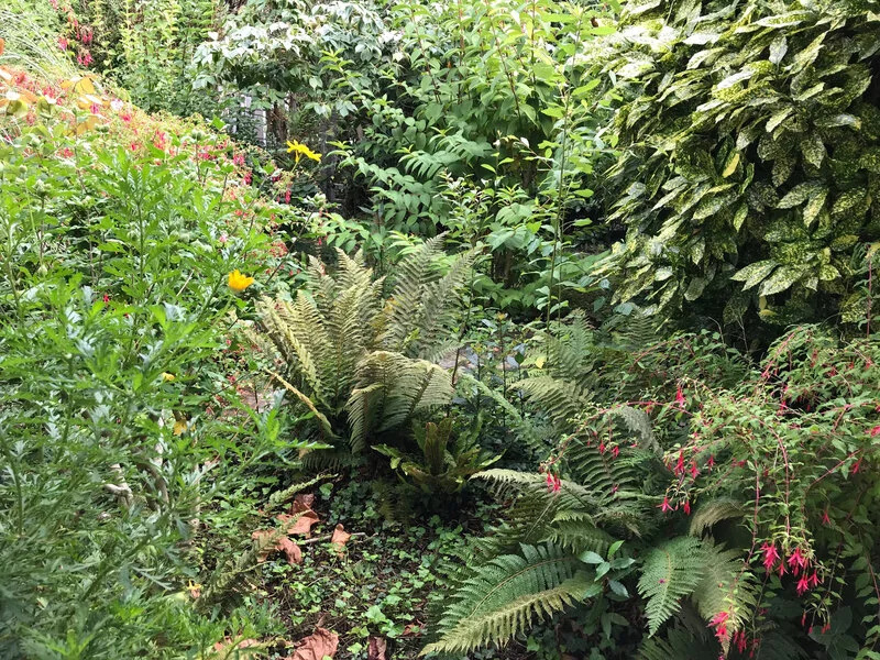 Jardin