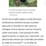 Plaisir du matin