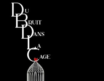 Du bruit dans la cage