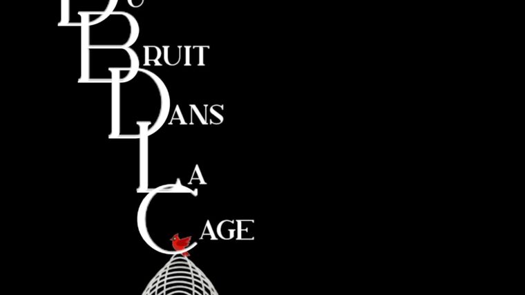 Du bruit dans la cage