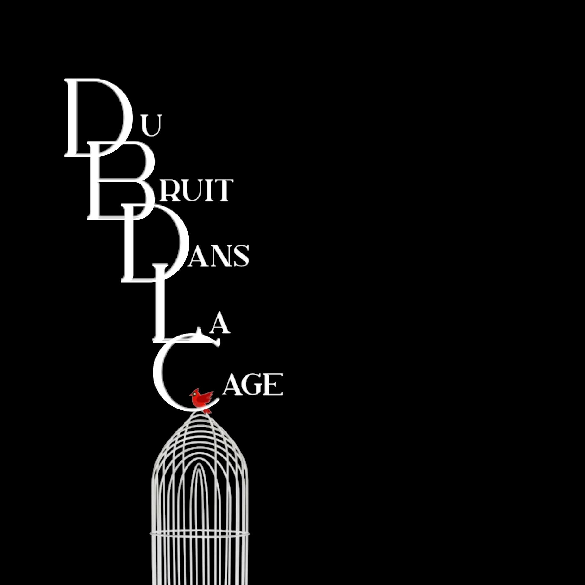 Du bruit dans la cage